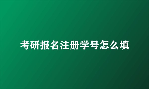 考研报名注册学号怎么填