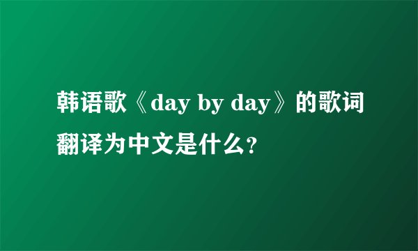 韩语歌《day by day》的歌词翻译为中文是什么？