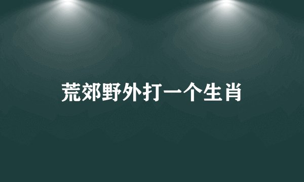荒郊野外打一个生肖