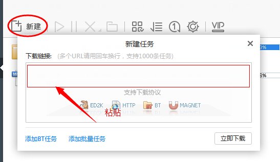 哪些网站的电影可以用迅雷下载？