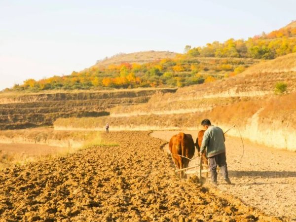 全面开荒一成语是什么