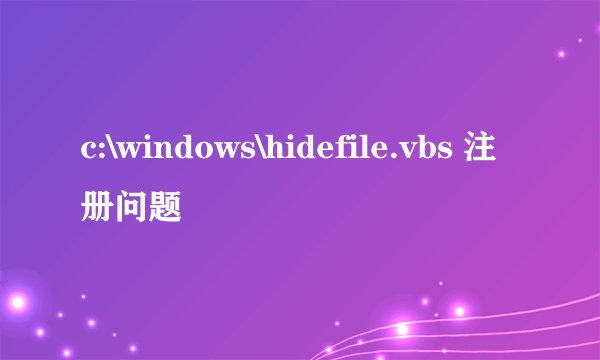c:\windows\hidefile.vbs 注册问题