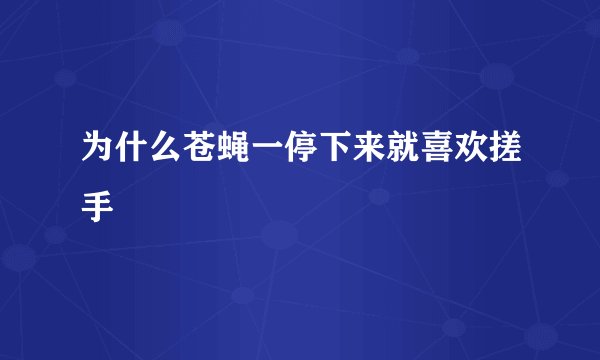 为什么苍蝇一停下来就喜欢搓手