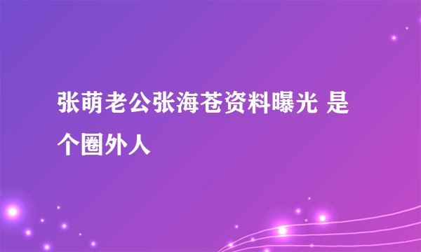 张萌老公张海苍资料曝光 是个圈外人