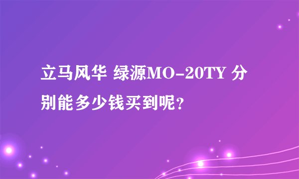 立马风华 绿源MO-20TY 分别能多少钱买到呢？