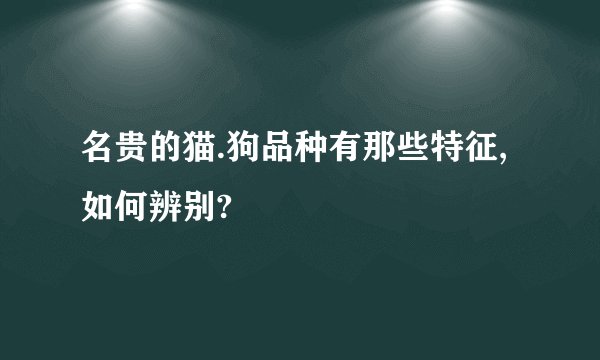 名贵的猫.狗品种有那些特征,如何辨别?