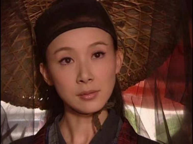 侠骨丹心演员列表