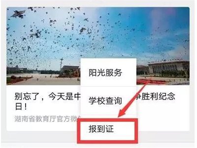 就业报到证在哪里查询