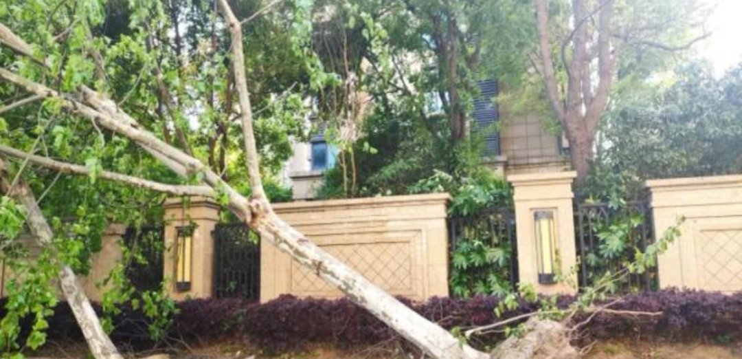 江苏14级大风,这么大的风有没有造成什么样的伤害?