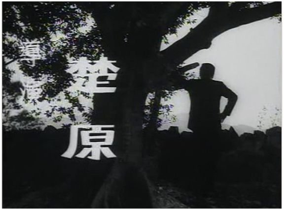 黑玫瑰的电影剧情