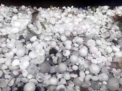 bb是什么意思呢?