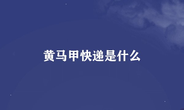 黄马甲快递是什么