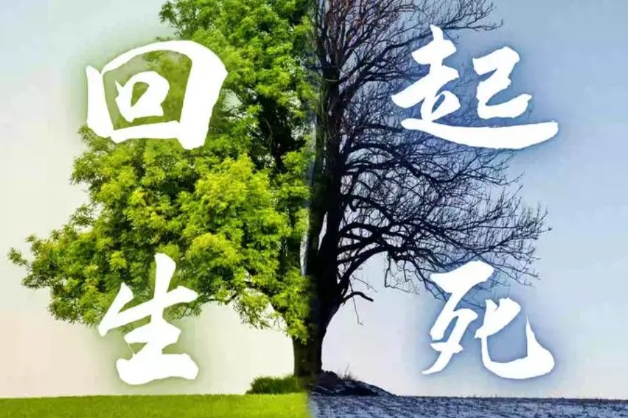 反魂乏术什么意思