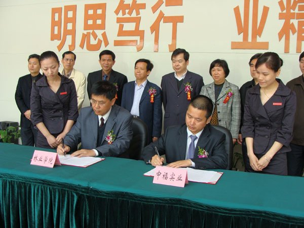 福建中福实业股份有限公司的概念