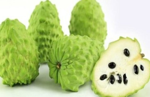 释迦果丰收是什么季节？