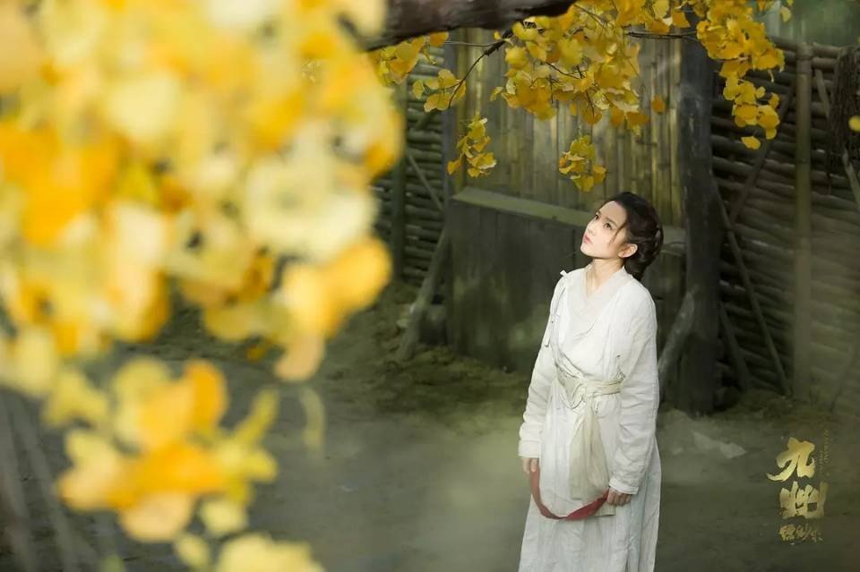 《九州缥缈录》豆瓣评分如何？