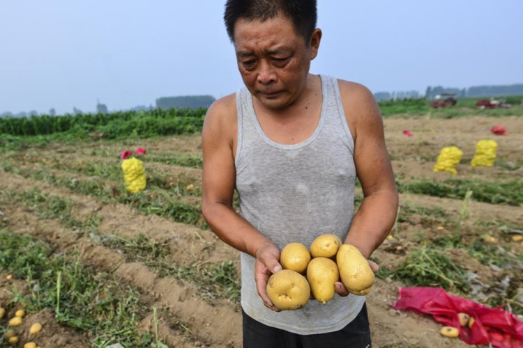 滞销是什么意思