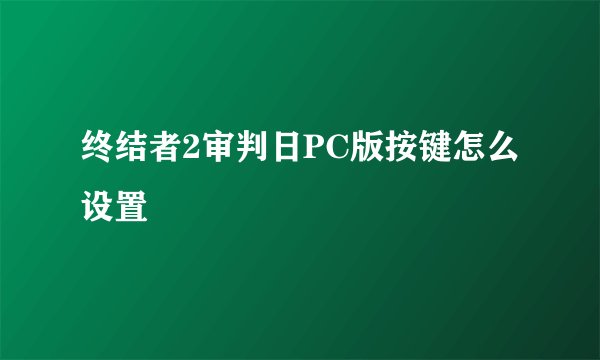 终结者2审判日PC版按键怎么设置