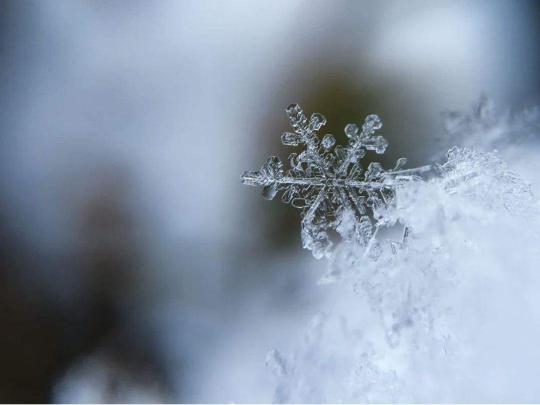 杭州又下雪了,为何今年的南方的雪要比北方的多?