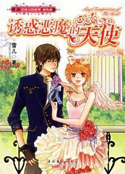 诱惑恶魔的天使的作品简介