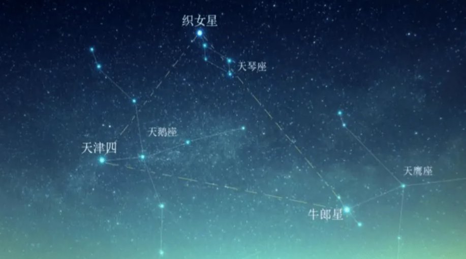 牛郎星位于哪一个星座