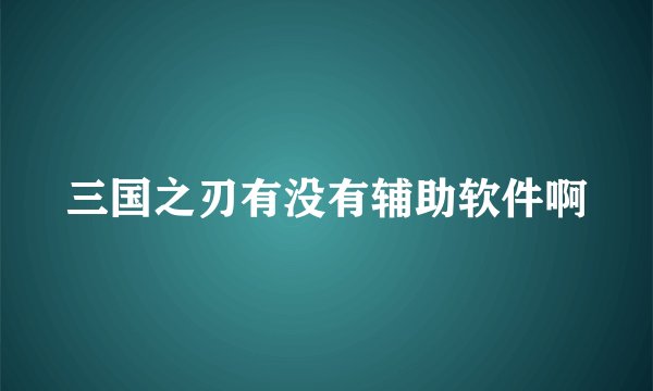 三国之刃有没有辅助软件啊