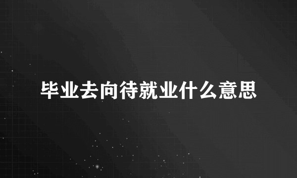 毕业去向待就业什么意思