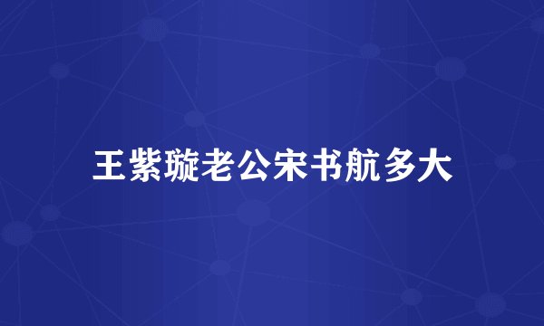 王紫璇老公宋书航多大