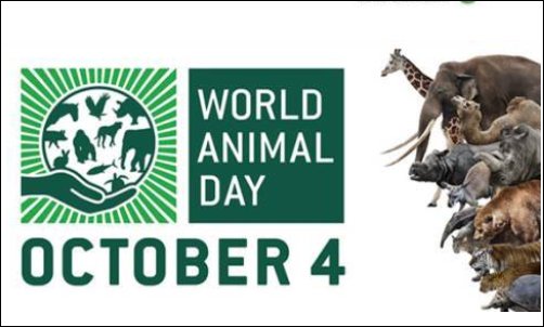 请问世界动物日是什么时间？