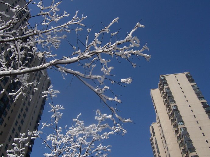 请问北京3月还会下雪吗？气温大概多少度啊？