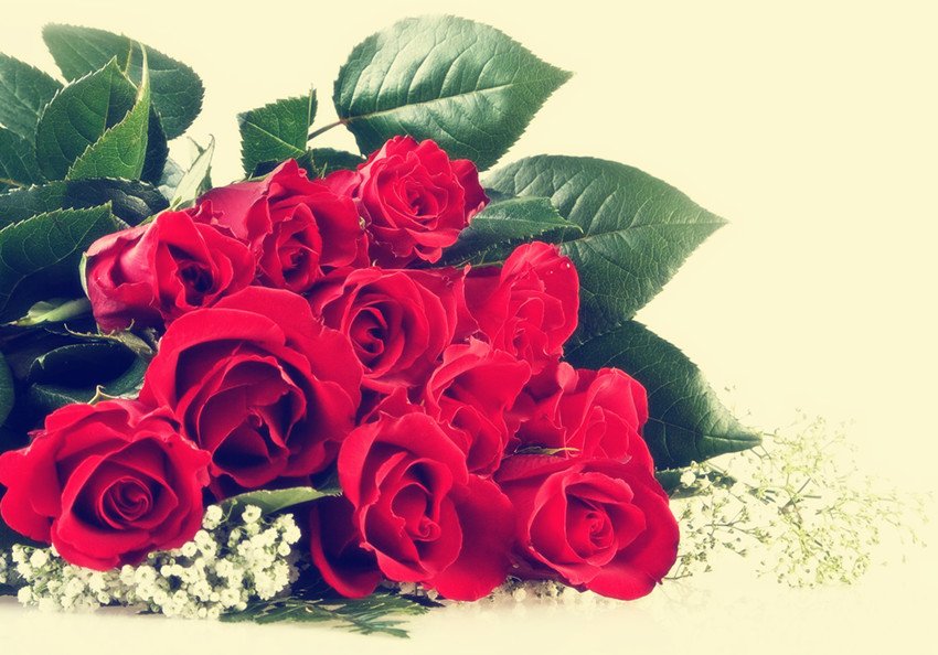 祝你情人节快乐用英文怎么翻译?