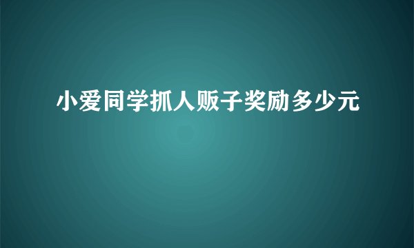 小爱同学抓人贩子奖励多少元