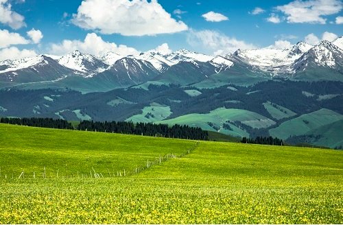 新疆发现千亿立方米气藏有什么意义？