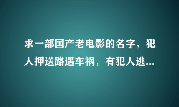 求一部国产老电影的名字，犯人押送路遇车祸，有犯人逃亡，部分有良知的犯人背着受伤的警察继续走