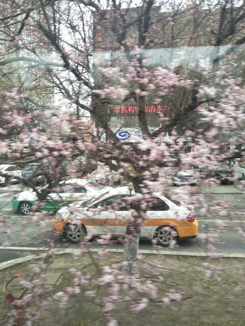 民间习俗风俗能信以为真吗？比如认同姓的做亲人