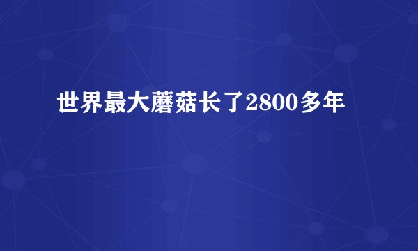 世界最大蘑菇长了2800多年