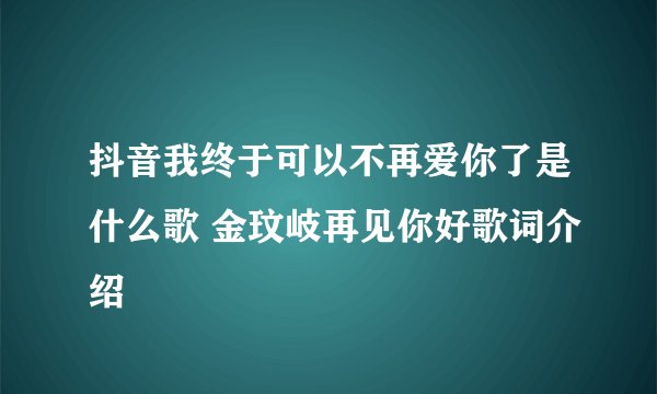 抖音我终于可以不再爱你了是什么歌 金玟岐再见你好歌词介绍