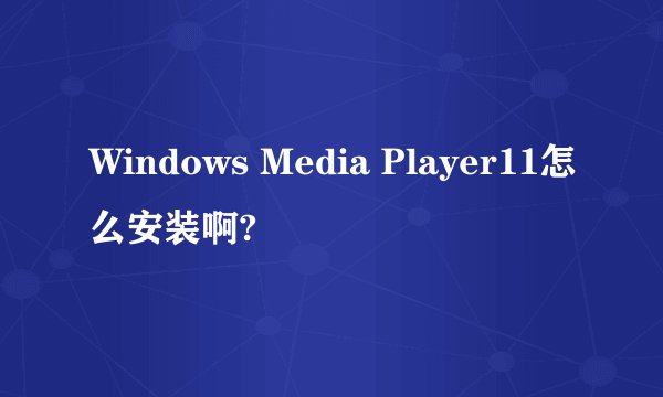 Windows Media Player11怎么安装啊?