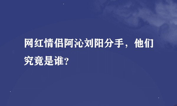 网红情侣阿沁刘阳分手，他们究竟是谁？