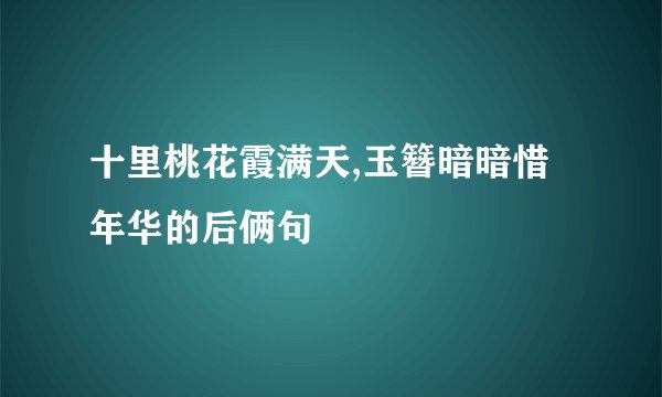 十里桃花霞满天,玉簪暗暗惜年华的后俩句