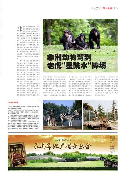 驴羚的生活习性