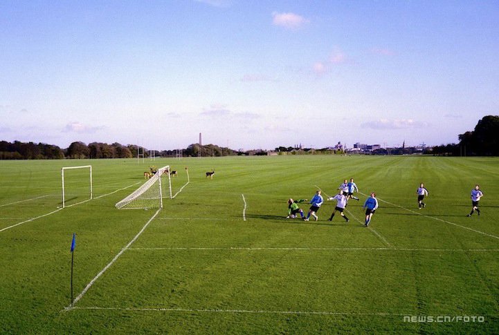 2010年南非世界杯足球场的足球城体育场