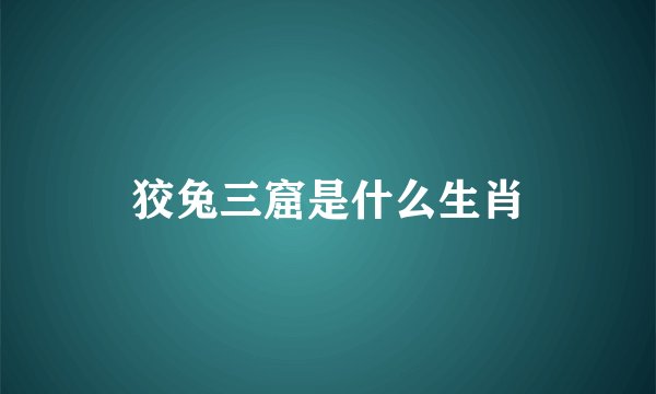 狡兔三窟是什么生肖