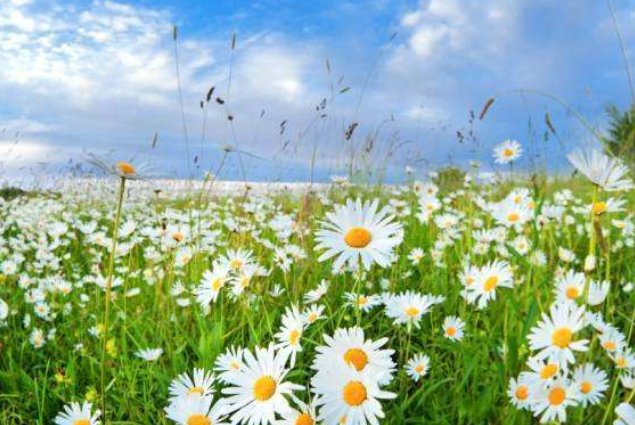 february怎么读？