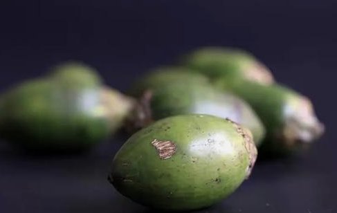 广东官方回应网友建议禁止销售槟榔:已转相关部门阅研,此举有何意义?