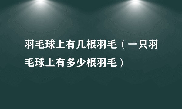 羽毛球上有几根羽毛（一只羽毛球上有多少根羽毛）