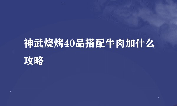 神武烧烤40品搭配牛肉加什么攻略