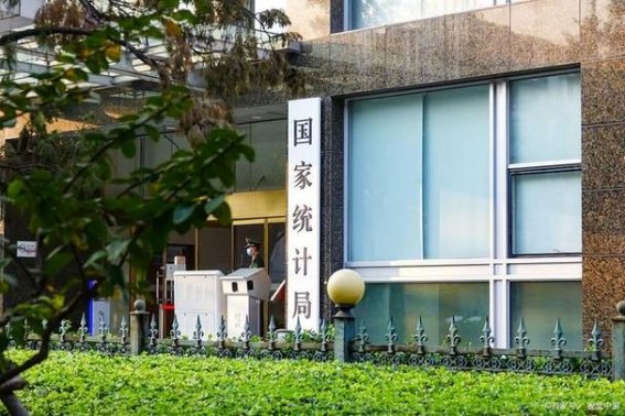 统计局是关于样本某一变量的综合描述吗