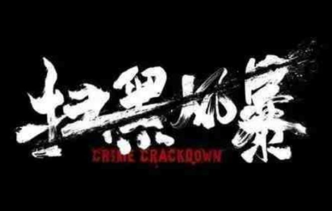 扫黑风暴里绿牌啥意思