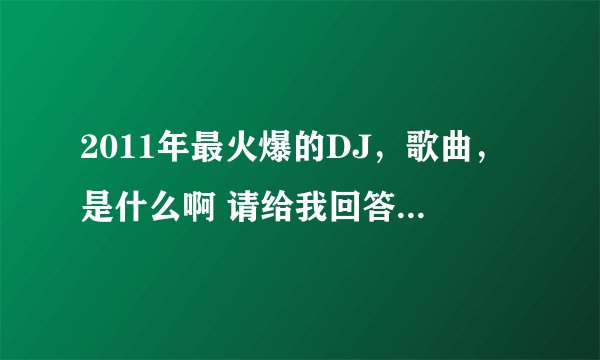 2011年最火爆的DJ，歌曲，是什么啊 请给我回答一下 谢谢